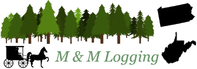 M & M Logging